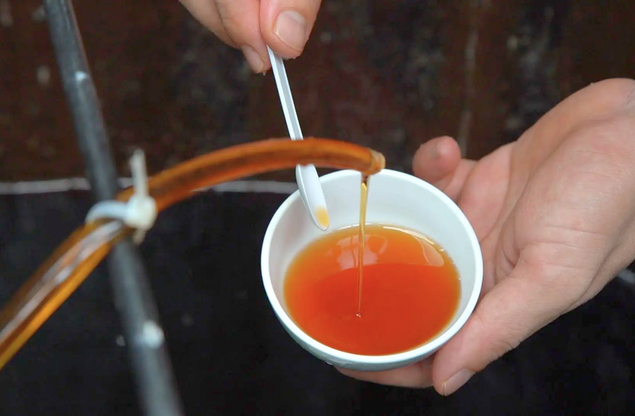 Khám phá những bí mật độc đáo về nước mắm