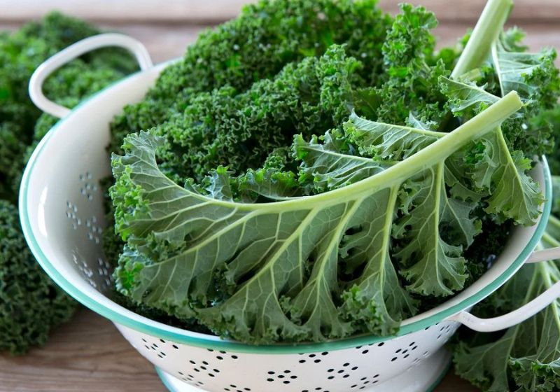 Khám phá những lợi ích vượt trội của cải xoăn đối với sức khỏe