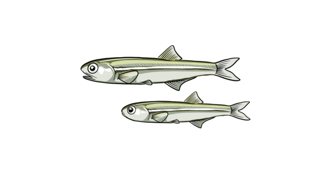 Sản phẩm lên men từ cá